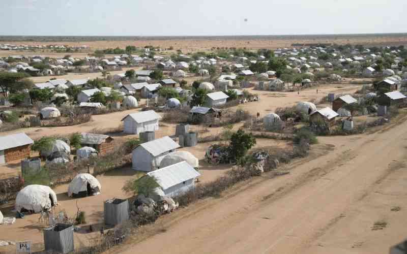 Lack of proper policies denies refugees access to job opportunities