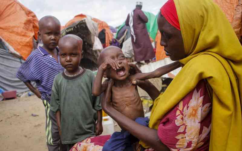 43,000 people died in Somalia in 2022 due to drought, says UN