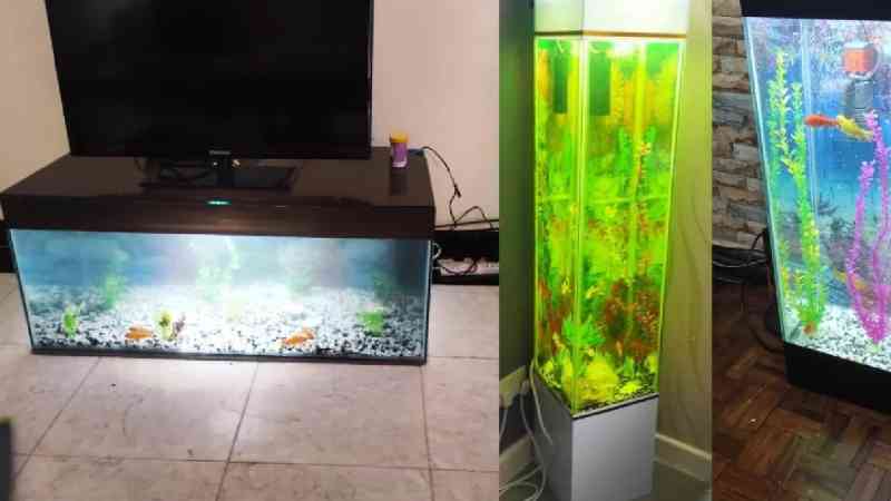 Risk that paid off: Ex-govt. engineer builds aquarium empire