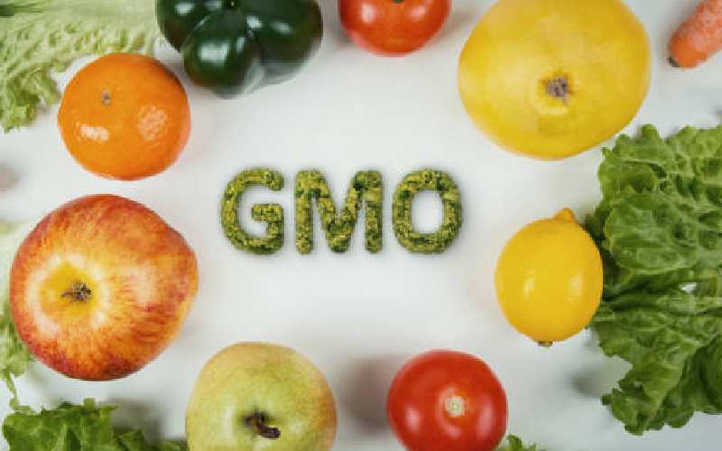 Critics say GMOs not fit for human consumption, but others disagree
