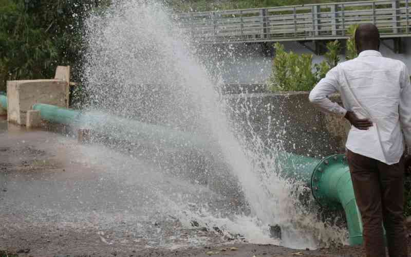 Sh10b lost annually in water leakages, reveals CS