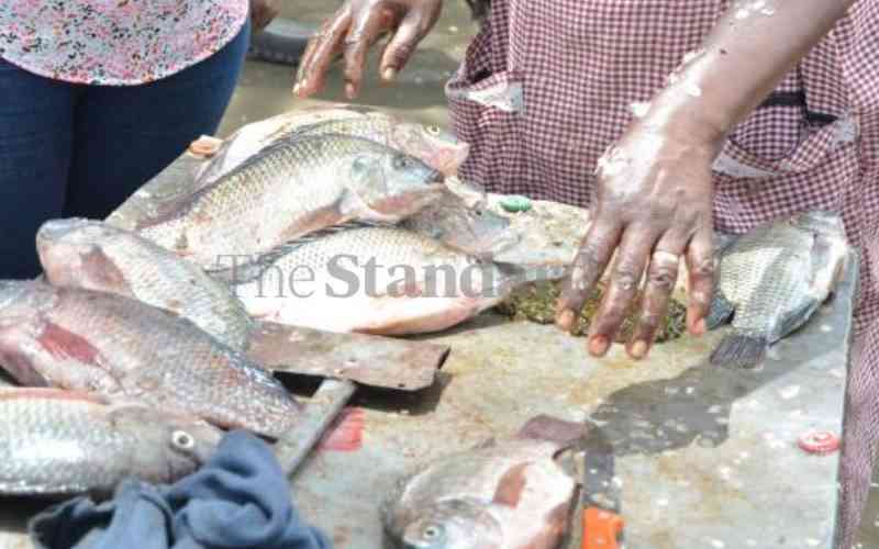 Fish stocks in Lake Naivasha dwindle amid rising water levels