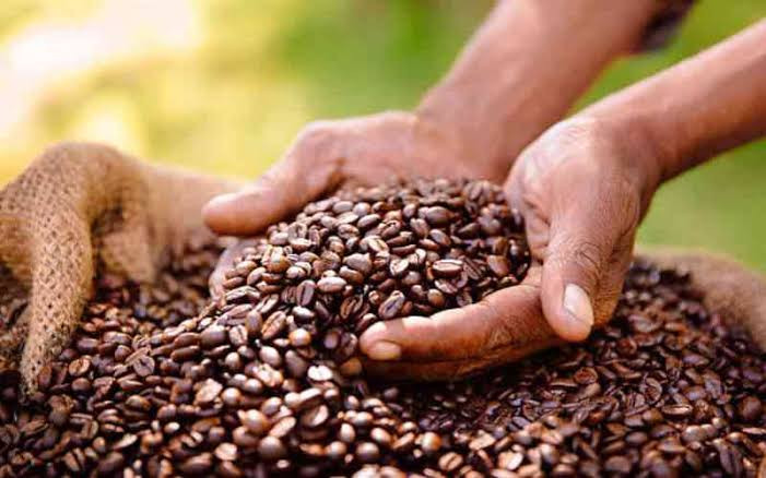 Science, technology key to reviving Kenya's coffee sector
