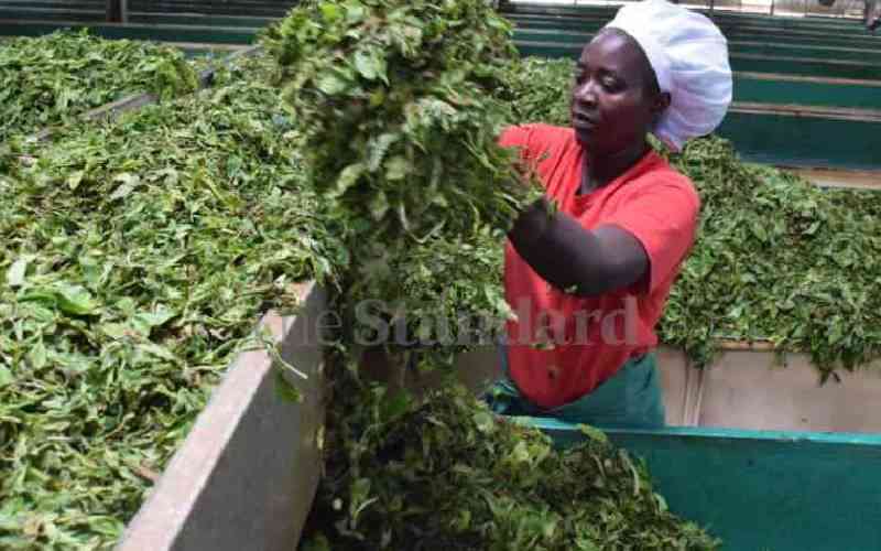 Mt Kenya tea companies to reappoint managers