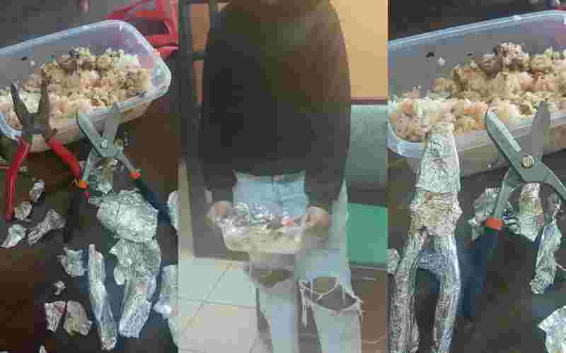 Plate of rice exposes plot to smuggle escape tools to suspects in police cell