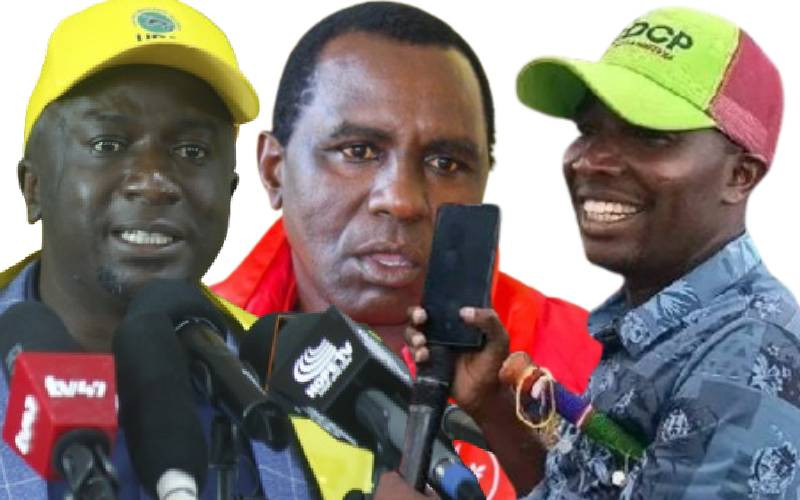It's a two-horse race between UDA, DCP candidates for Ol Kalou MP seat