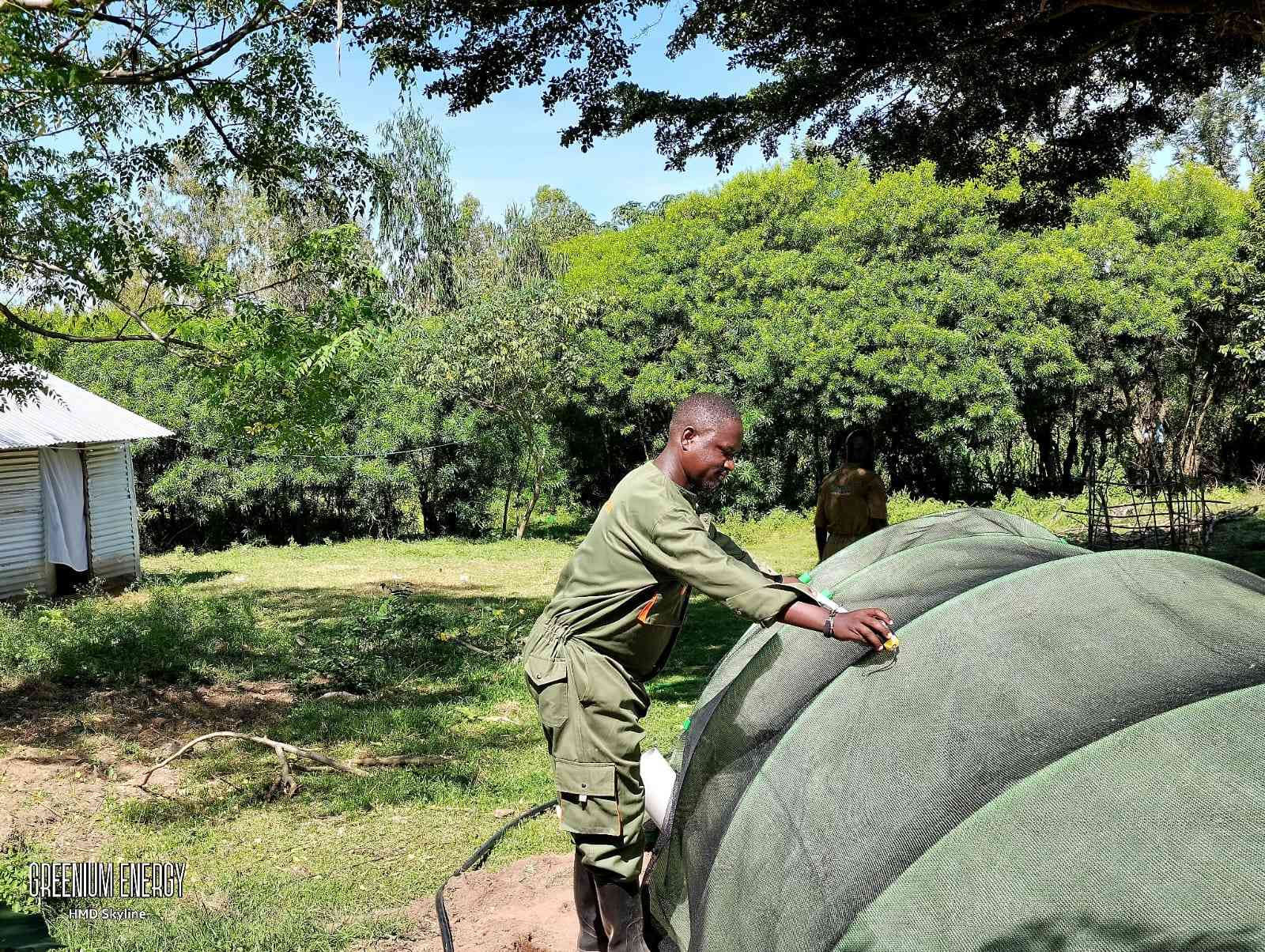 From dung to watts: Young entrepreneur's clean energy