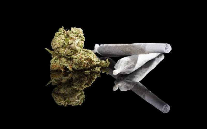 Two women face 10 years in jail for trafficking 56kg cannabis