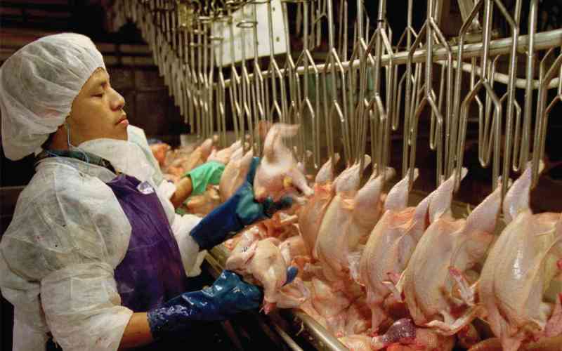 Ensuring best outcomes in poultry processing