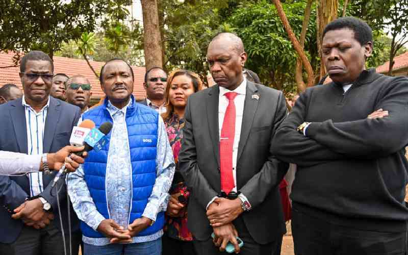 Kalonzo to Ruto: Set up IEBC and call snap polls
