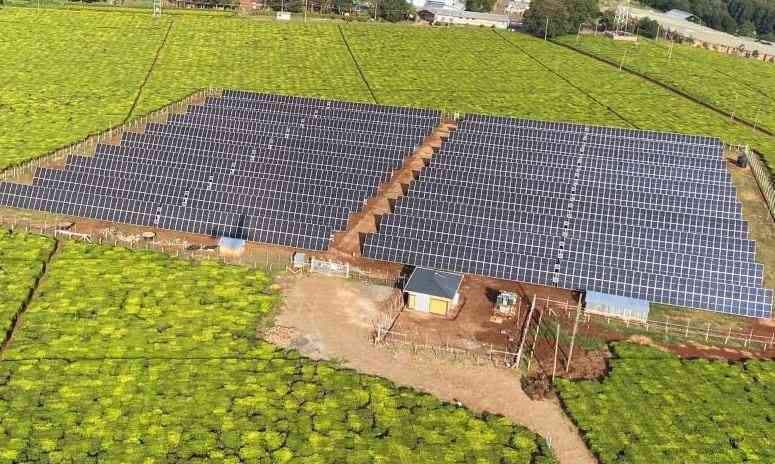 Why Kenya must embrace Power purchase agreements to drive its solar future