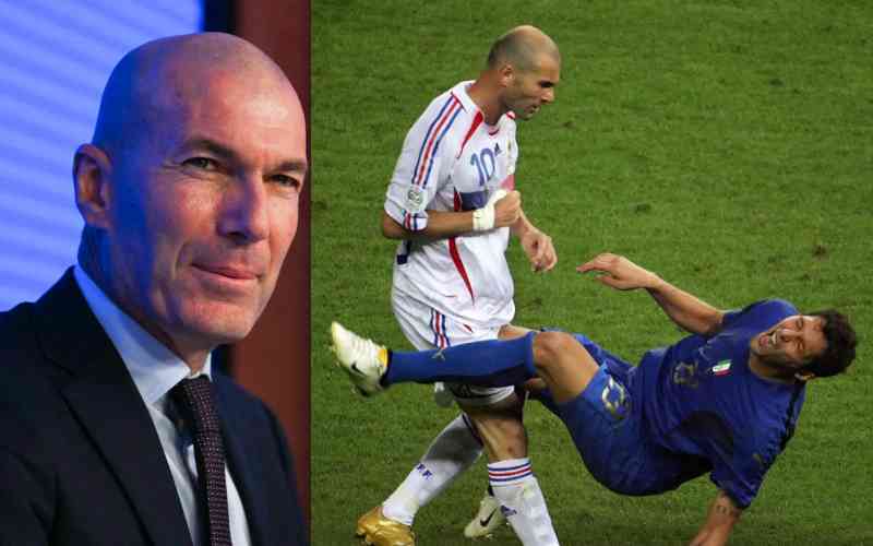 Zinedine Zidane - The good, the bad and the ugly