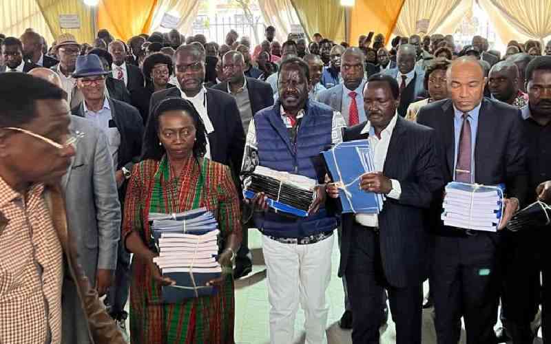 Presidential petition: Loopholes that worked against Raila Odinga's case