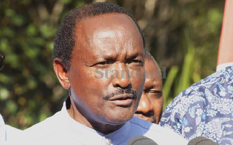 Kenyans are tired of you, Kalonzo tells Ruto