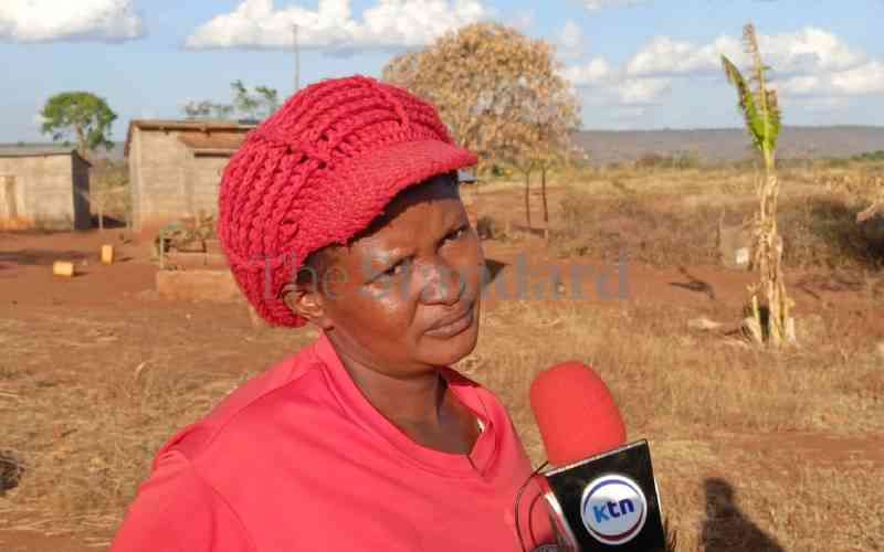 Kithuka's daughter: Our father was lonely and mentally disturbed