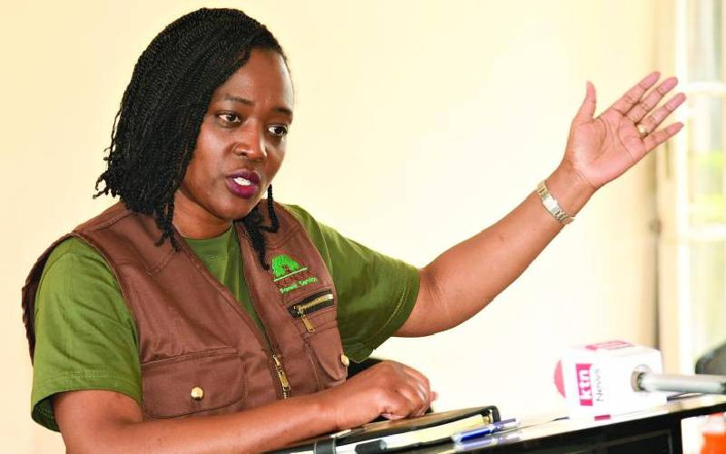 Environment CS Soipan sues 'estranged' husband for child upkeep and protection