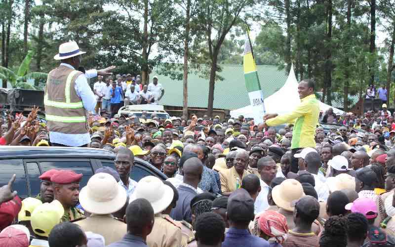 Ruto's Western offensive: Can he turn Raila's base into his fortress?