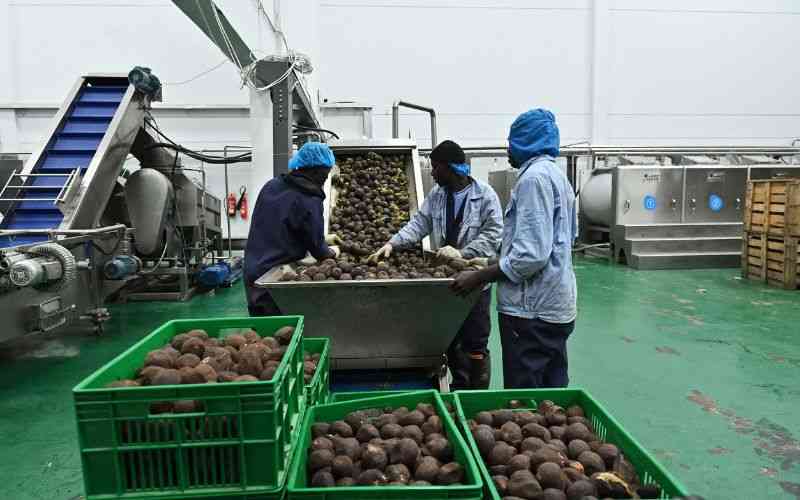 World Bank tips Kenya on jobs to reverse flagging economic fortunes
