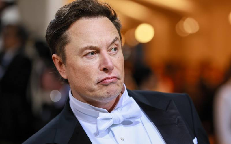 Is Elon Musk planning to change Twitter logo?