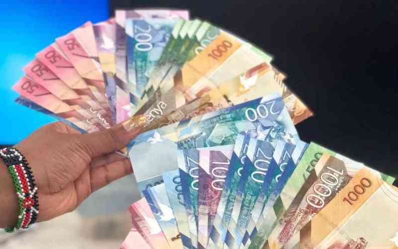 Kenyan diaspora: Their money is welcome but ideas are resisted