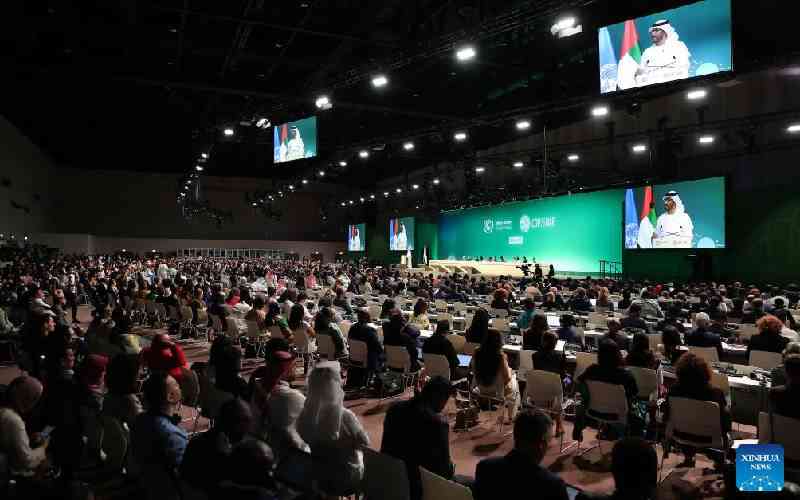 COP28 calls for accelerating global climate response in Dubai