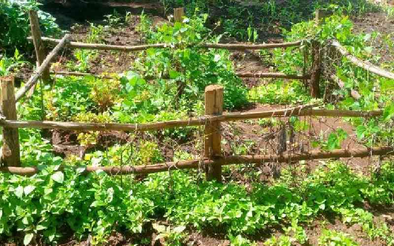 Naivasha land registrar summoned in succession dispute of late businessman