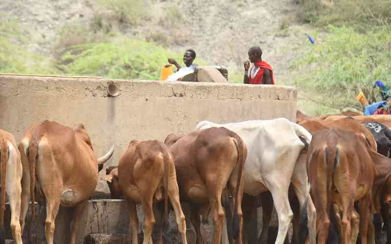 Magadi residents grapple with water shortage as dry spell persists