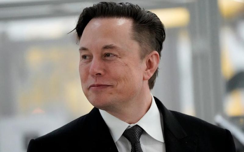 Reports: Elon Musk fires Twitter Board of Directors