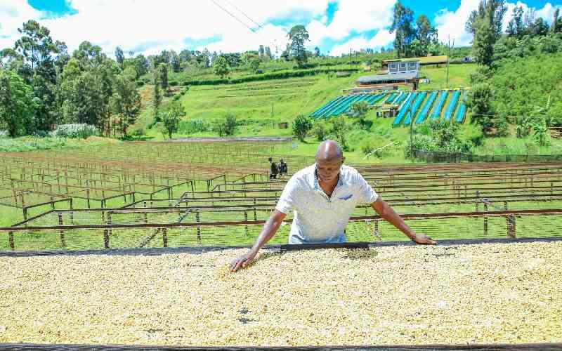 Meru coffee farmer secures US market, urges growers to boost production