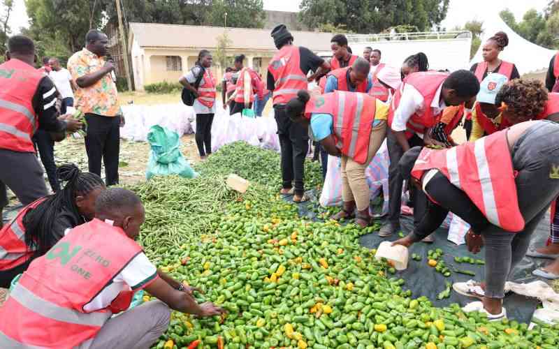 Zero to One programme, a relief to many in Dagoretti South