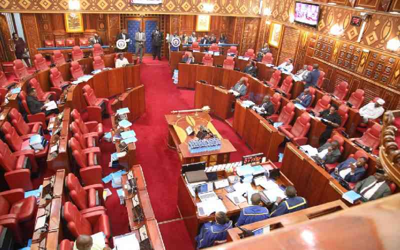 Senate invites ICT experts to audit Kericho assembly electronic voting system