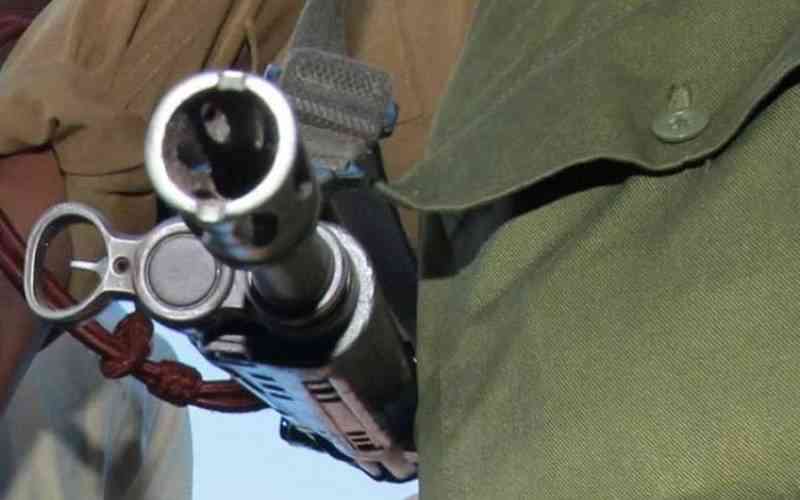 Firearm in wrong hands on the rise as experts call for stricter vetting threshold