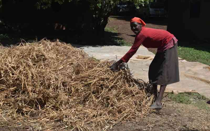 Africa climate change: From Nairobi to Addis can climate ambition survive debt
