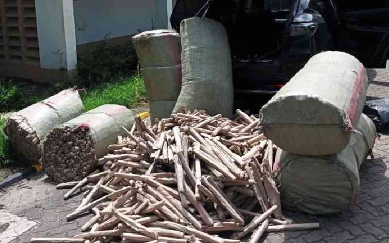 Police nab bhang worth Sh13.7 million