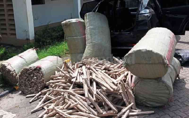 DCI seize bhang worth Sh50,000...