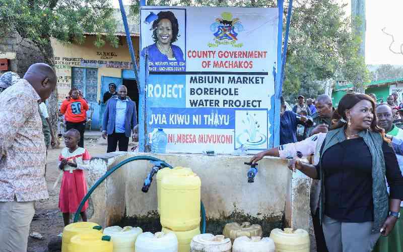 Senate bans use of Governors and MCAs images on public projects