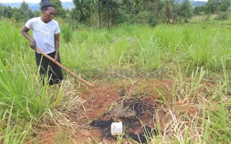 Why court has dismissed petition on killing of 'witches' in Kisii and Kilifi