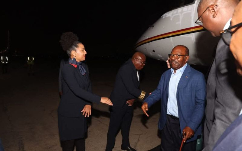 Gabon's ousted President and family 'released' and in Luanda