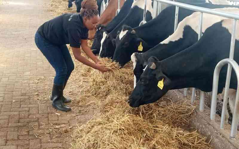 The real truth about livestock feed additives