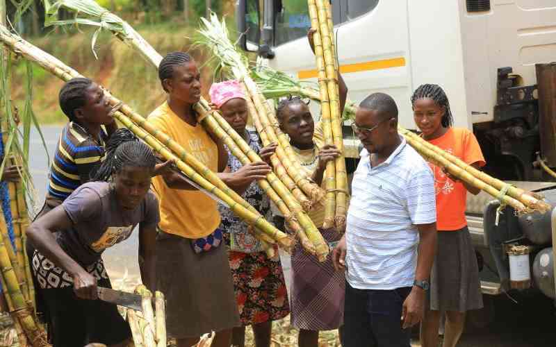 Government raises sugarcane prices by Sh250