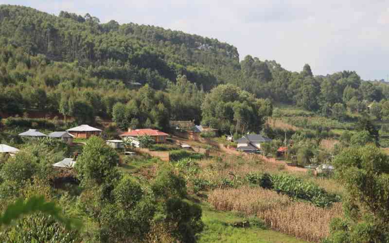 Families turn ancestral farming land in Kisii into trading centres