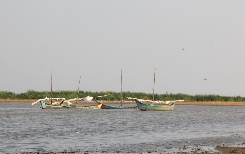 How rising waters are fueling deadly crocodile attacks in Turkana