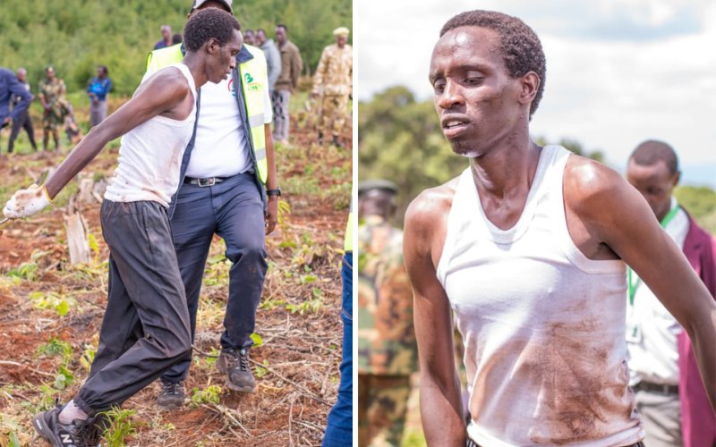 Environmentalist Hillary Kiplagat plants record-breaking 23,326 trees in 24 hours