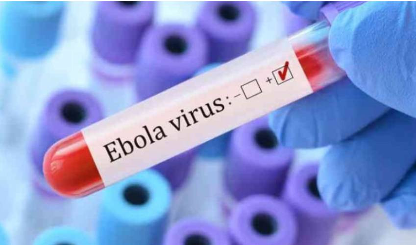 Govt steps up Ebola response as taskforce reviews preparedness