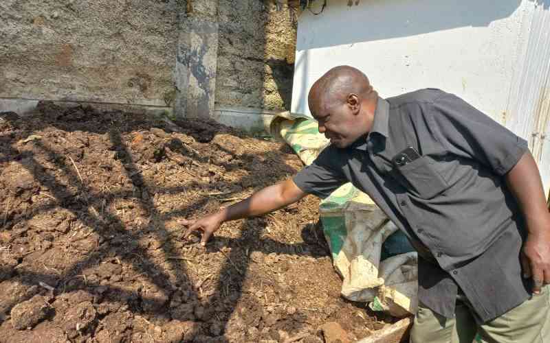 Shift to compost revives small farmers' fortunes