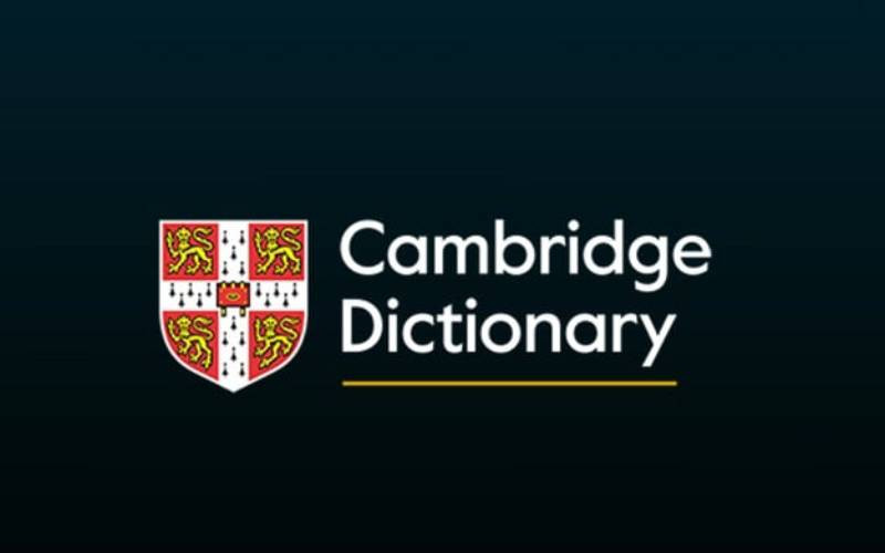 'Delulu,' 'skibidi,' and 'inspo' among new words joining Cambridge dictionary