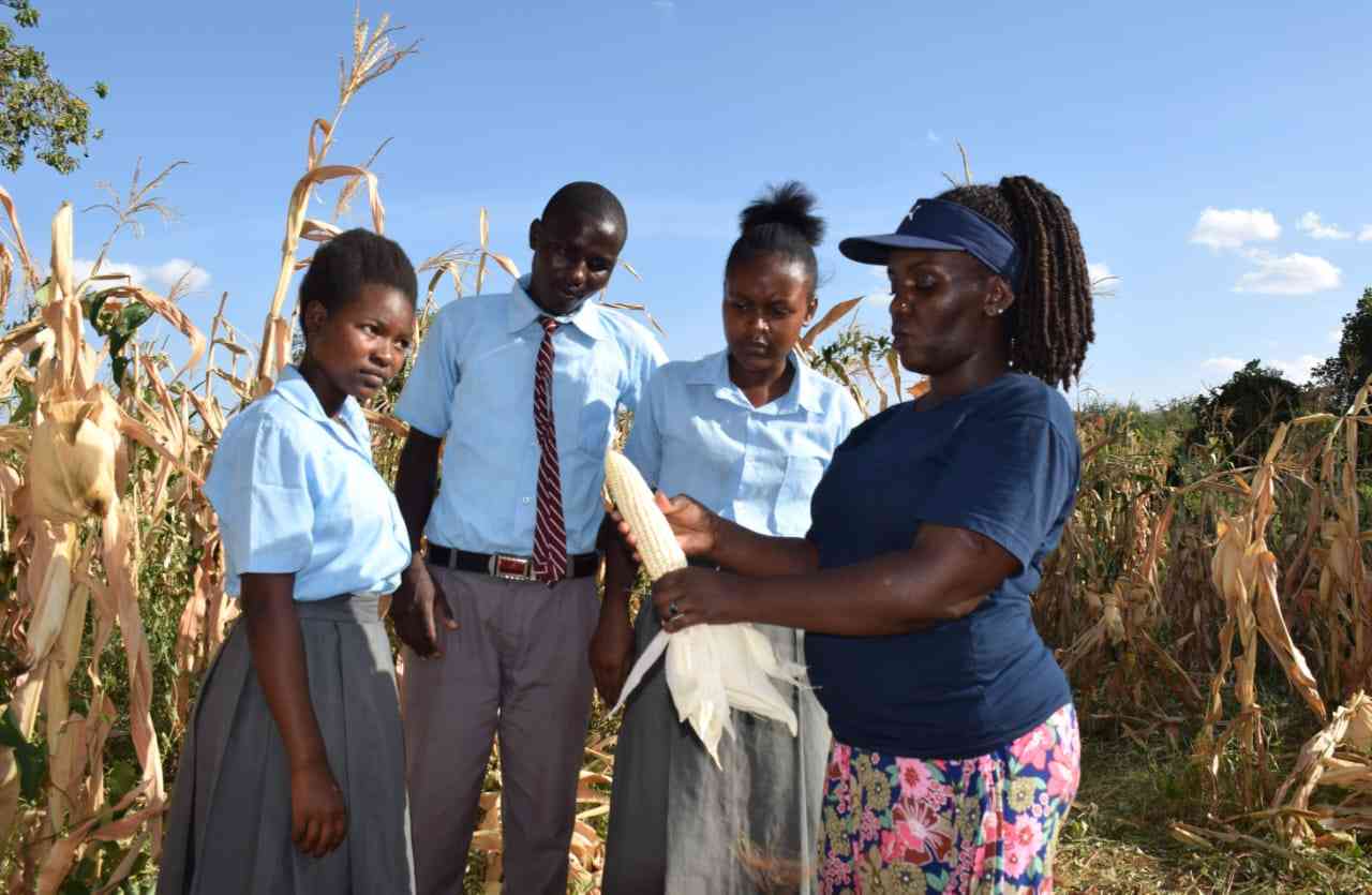 Serikali imetangaza kaunti 14 kuwa miongoni mwa zilizoathirika zaidi na kiangazi