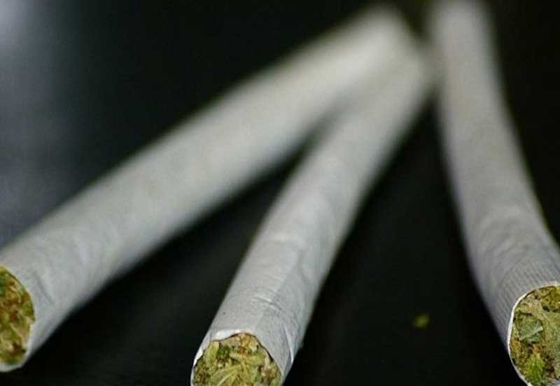 Man jailed for 15 years over bhang trafficking in Nyeri
