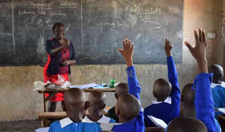 CBC school clusters fail to bridge education inequality gap - report