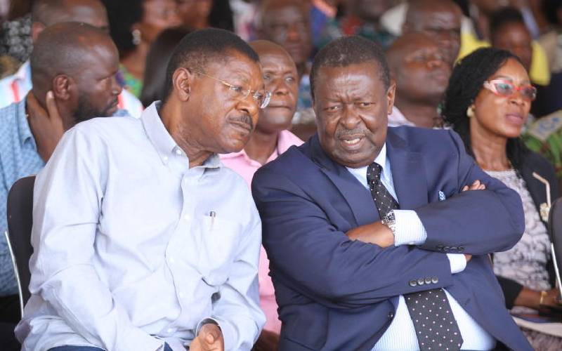 Wetang'ula, Mudavadi 'rejection' in Western gives Ruto a headache